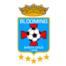 Blooming