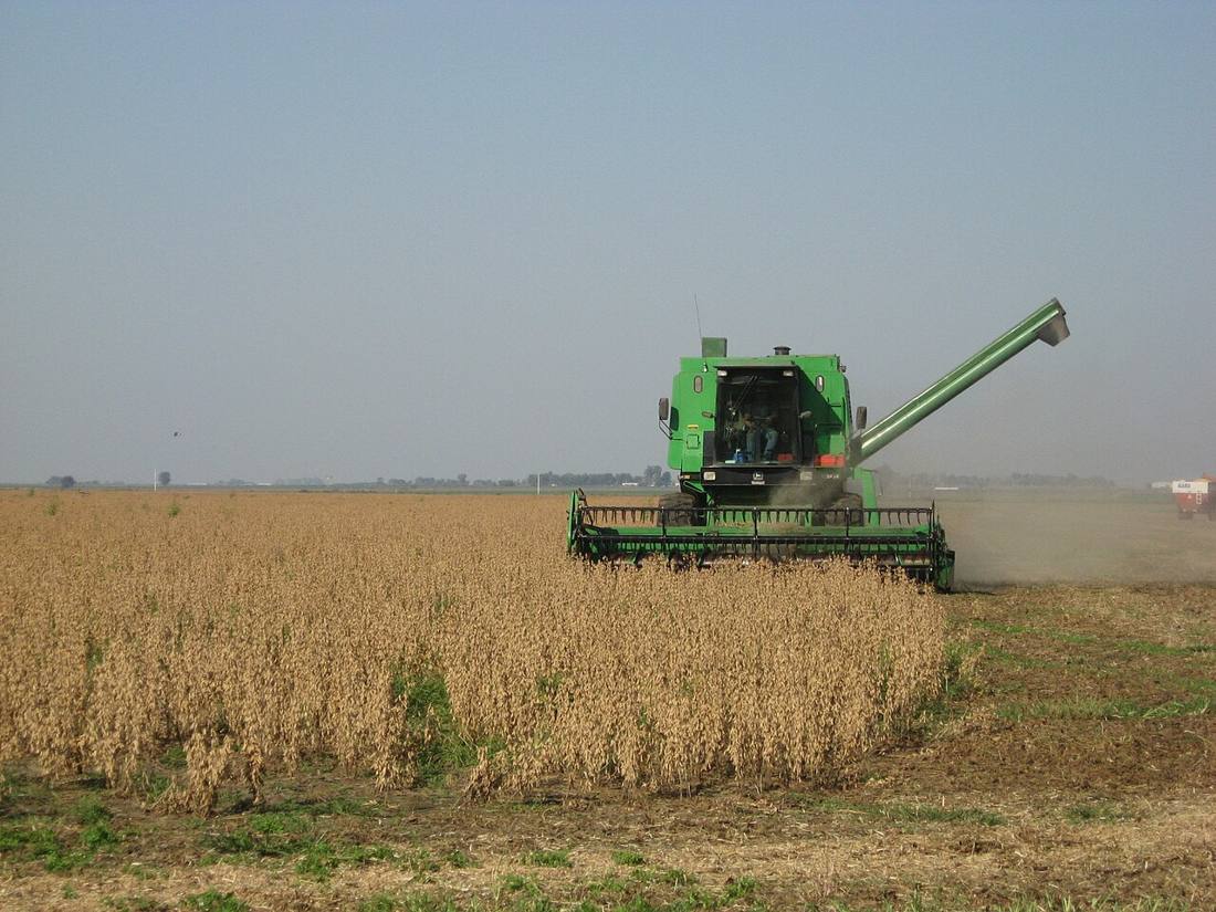 Argentina's Farm Exports Projected at a Record $41.5 Billion Next Season, Grain Exchange Says