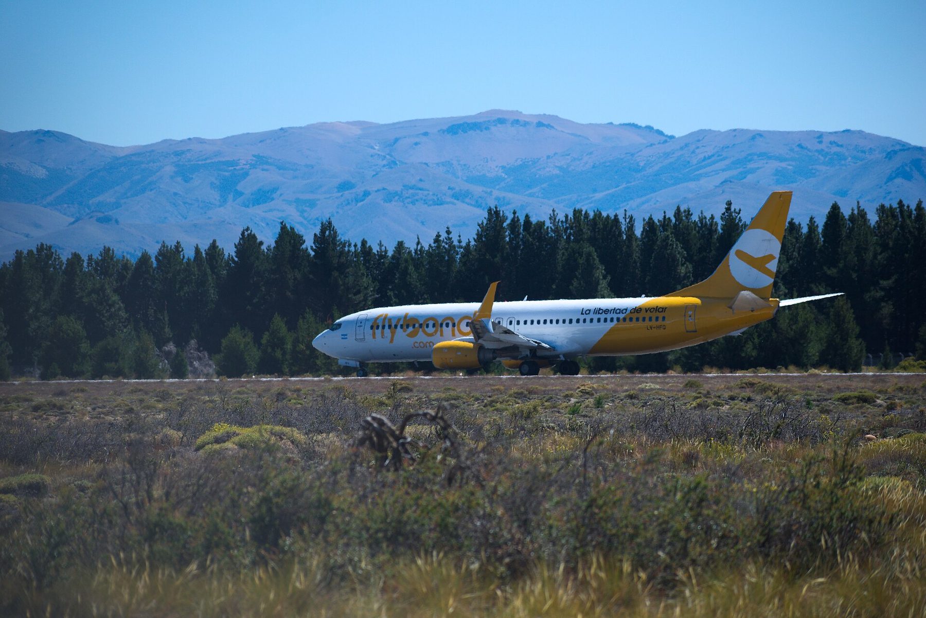 Flybondi Files for Court Protection From Creditors After Two Months Grounded