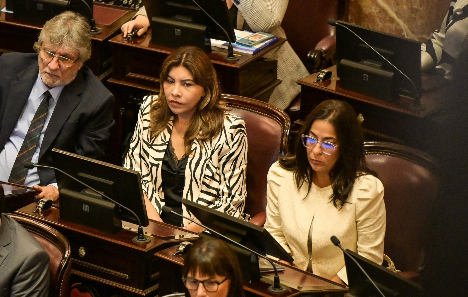 Milei's Malvinas Sovereignty Bill Heads to Three Committees as Senators Push for a Say of Their Own